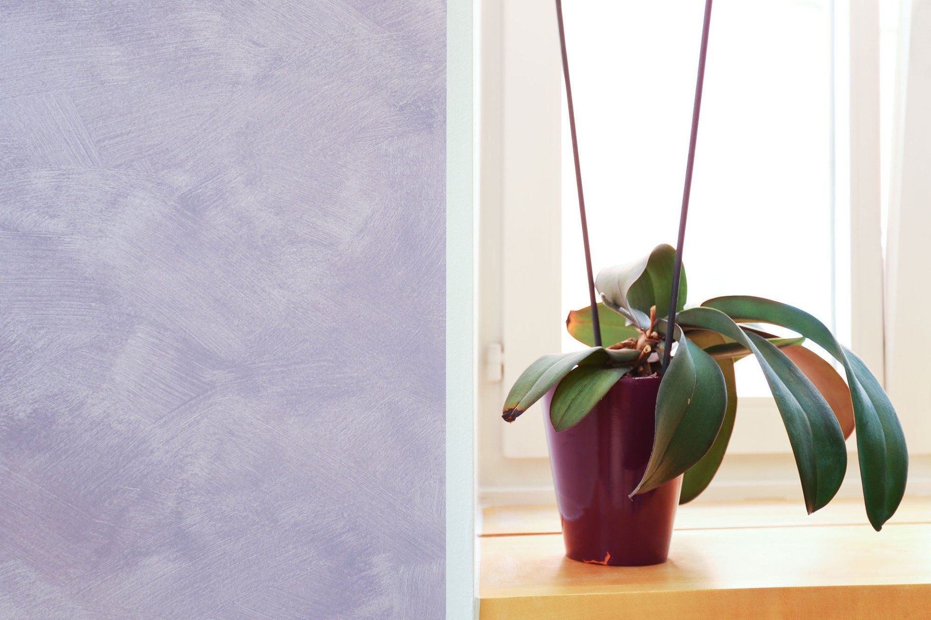 Spritzen, Lackieren von Fensterläden, Türen, Heizkörpern - Malergeschäft Kurt Dolf in Sils im Domleschg