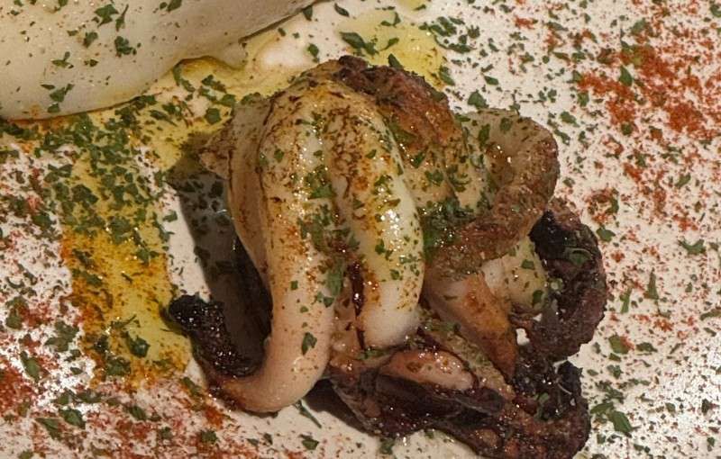 Pulpo a la plancha con aliño y perejil en plato blanco.