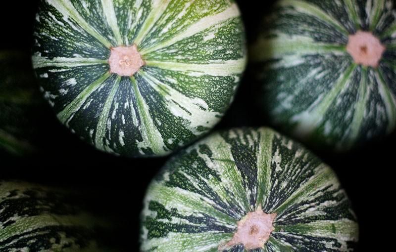 Calabaza redonda con rayas verdes y blancas.