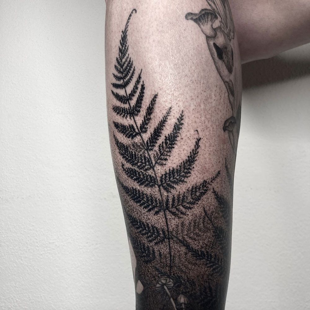 Eine schwarz-weiße Tätowierung eines Farns auf dem Bein einer Person.