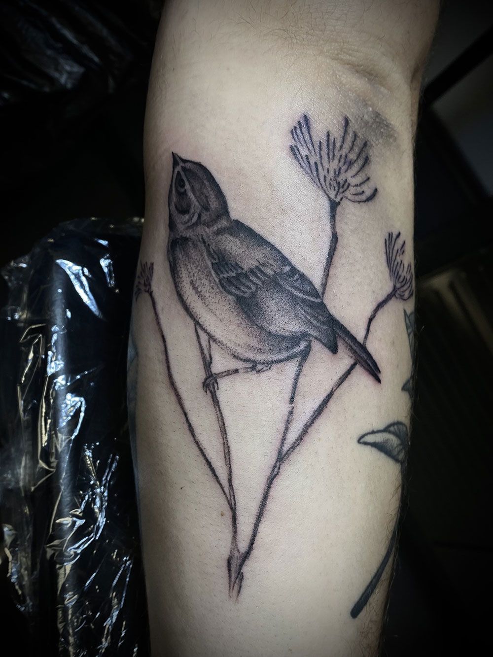 Ein schwarz-weißes Tattoo eines Vogels auf einem Ast
