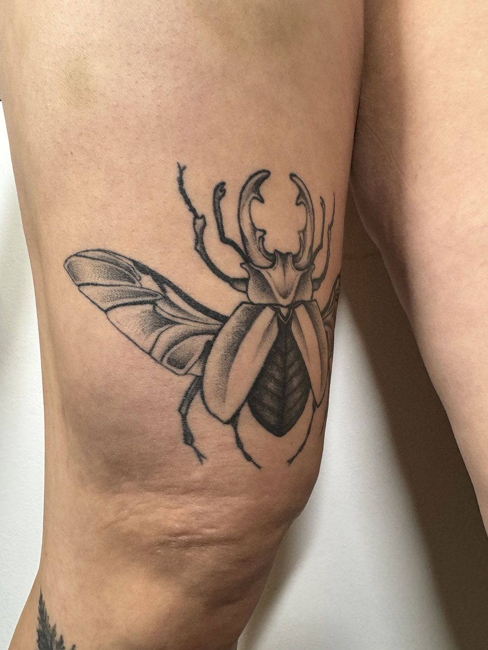 Ein schwarz-weißes Tattoo eines Käfers auf dem Bein einer Frau