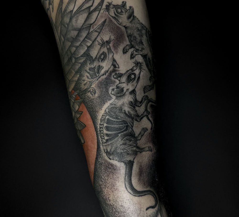 Eine schwarz-weiße Tätowierung einer Ratte auf dem Unterarm einer Person.