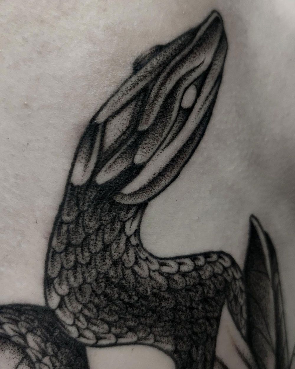 Eine schwarz-weiße Tätowierung einer Eidechse auf dem Rücken einer Person.