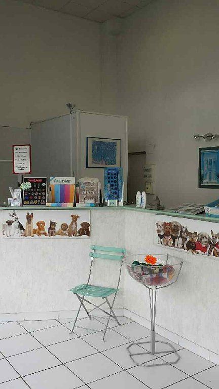 L'intérieur du salon de toilettage Ac'tifs Canin