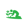 Icon Person pflanzt eine Pflanze
