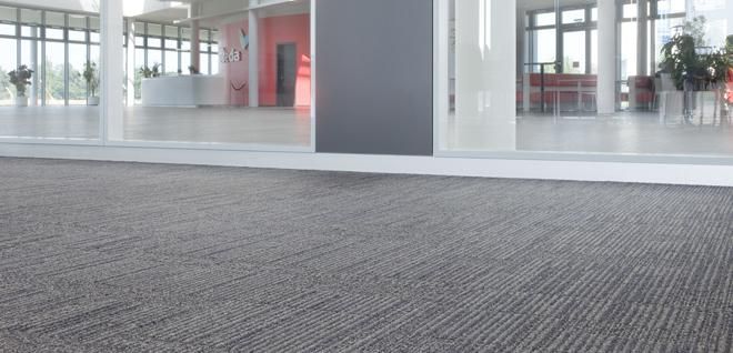 Una gran habitación vacía con suelo alfombrado y una ventana grande.