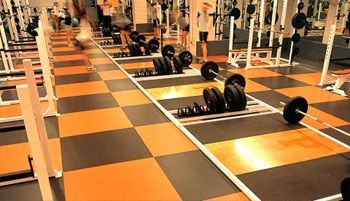 Una fila de barras están alineadas en un gimnasio.