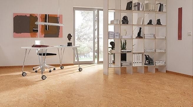 Una habitación con un escritorio y un estante con libros.