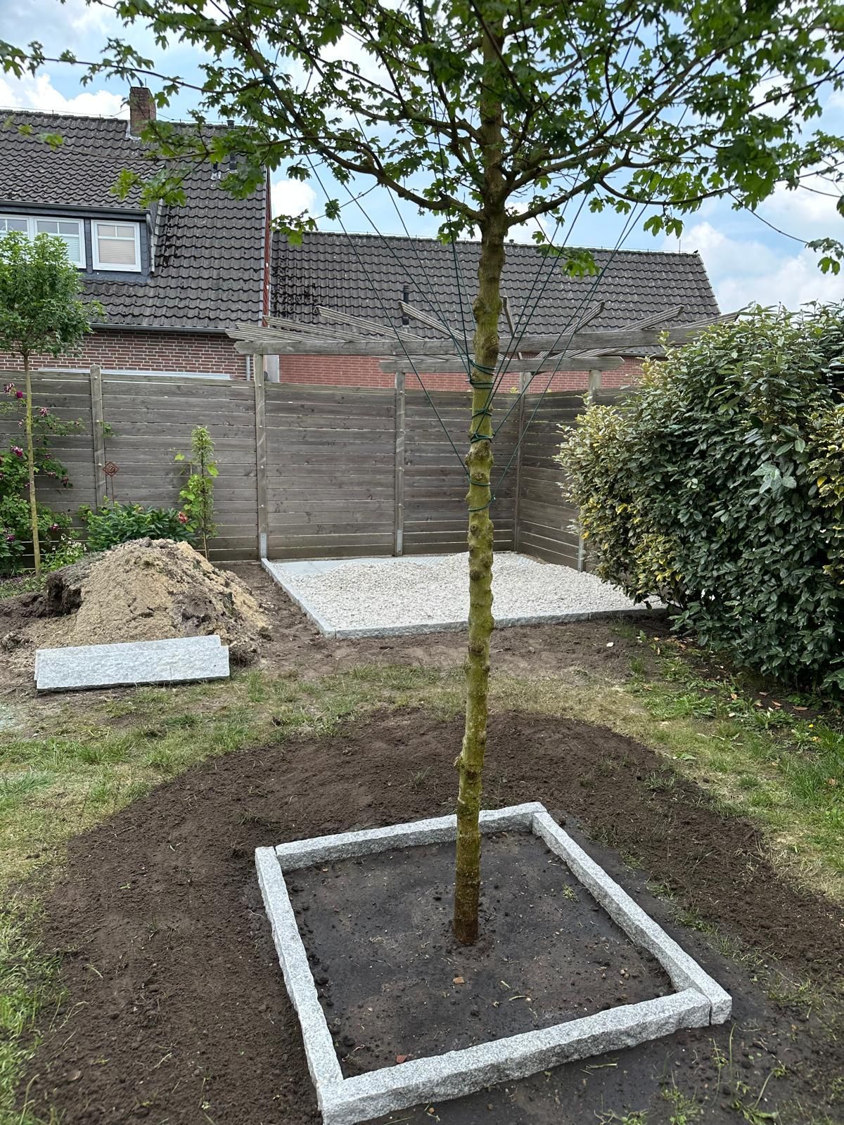 Ein Baum steht auf einem Platz inmitten eines Gartens.