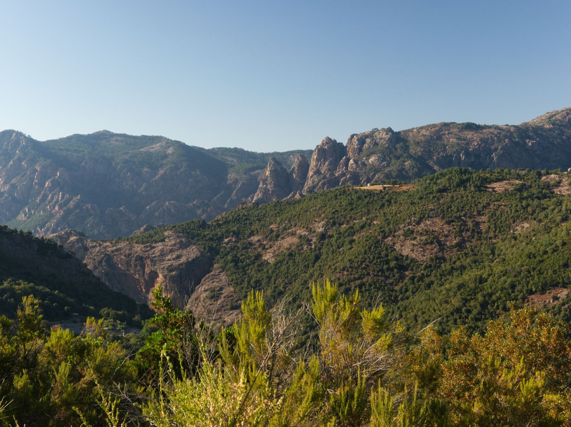 Belle vue sur les montagnes verdoyantes