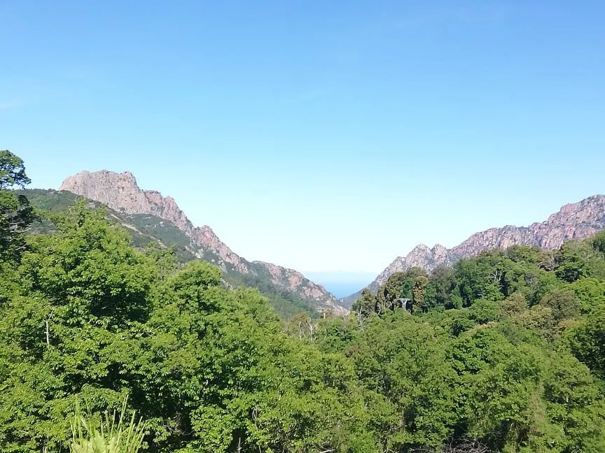 Vue dégagée sur les montagnes