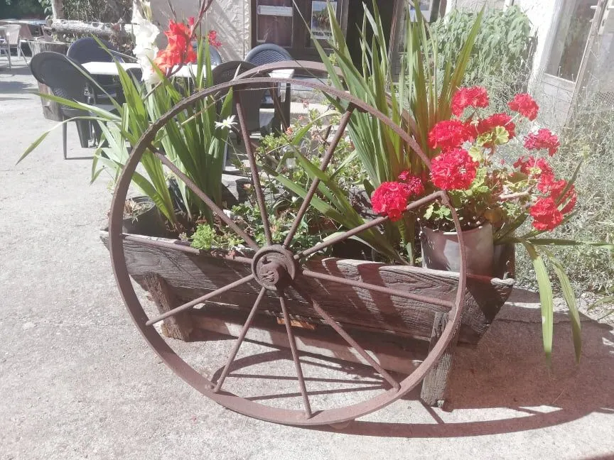 Roue d'une charrette