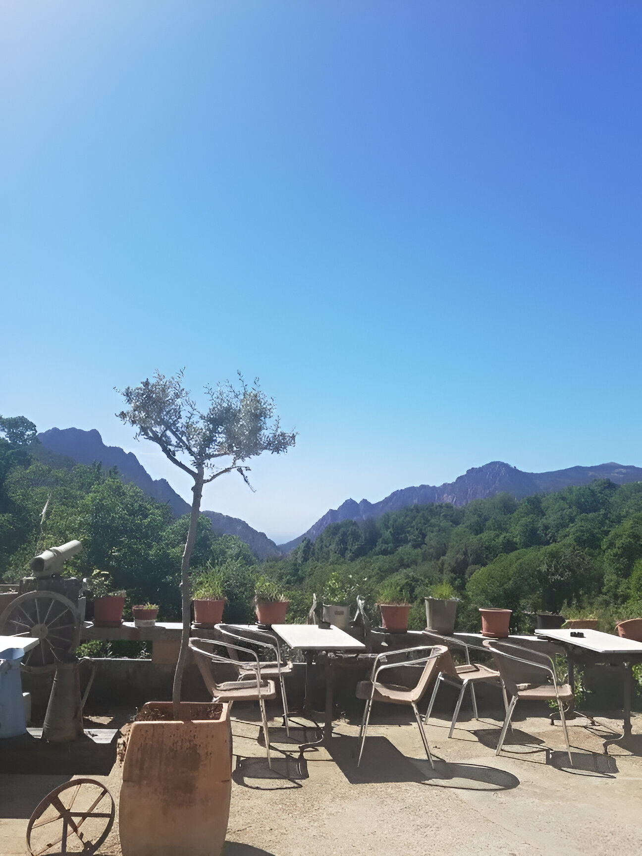 Terrasse du restaurant