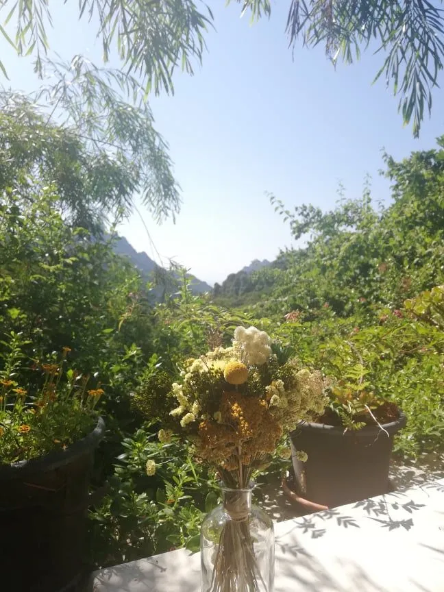 Végétation près du gîte