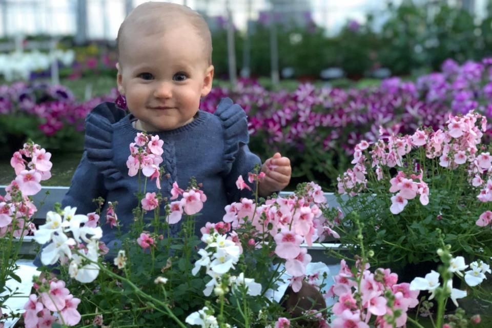 Baby mit Blumen herum bei der Gärtnerei Franz Böhmer