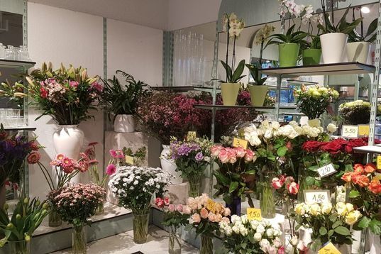 Person wählt Blumen aus