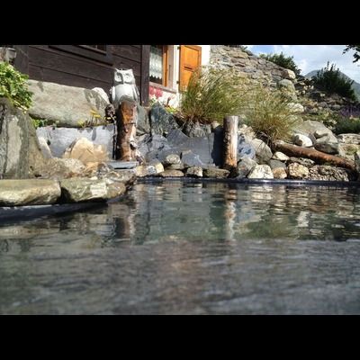 Un étang avec une statue de hibou au milieu