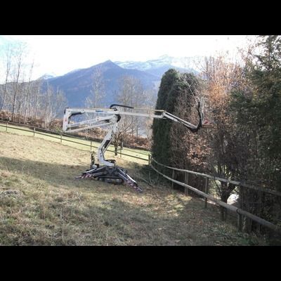 Une grue est assise au sommet d'une colline herbeuse à côté d'une clôture en bois.