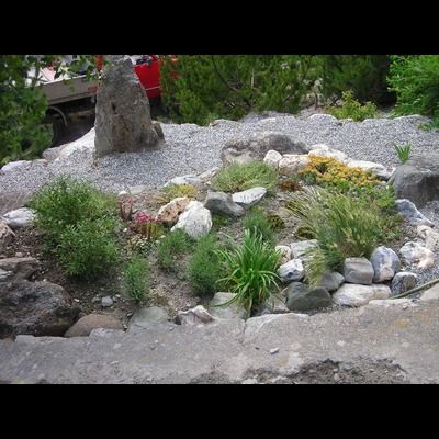 Un jardin rempli de rochers et de plantes avec un camion en arrière-plan.