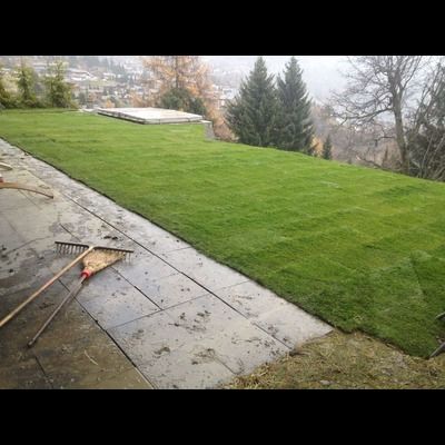 Une pelouse avec un râteau et un balai sur le trottoir.