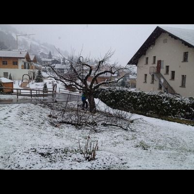 Une cour enneigée avec une maison en arrière-plan