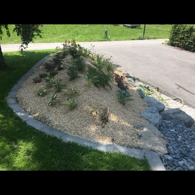 Un jardin avec des rochers, des plantes et du paillis au bord d'une route.