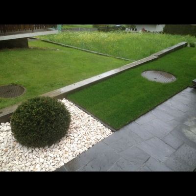 Il y a un buisson au milieu de la pelouse.