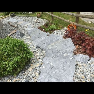 Une allée en pierre entourée de rochers et de plantes dans un jardin.