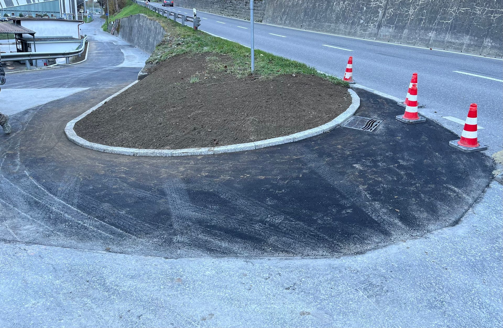 Une personne plante des tomates dans un jardin avec un arrosoir.