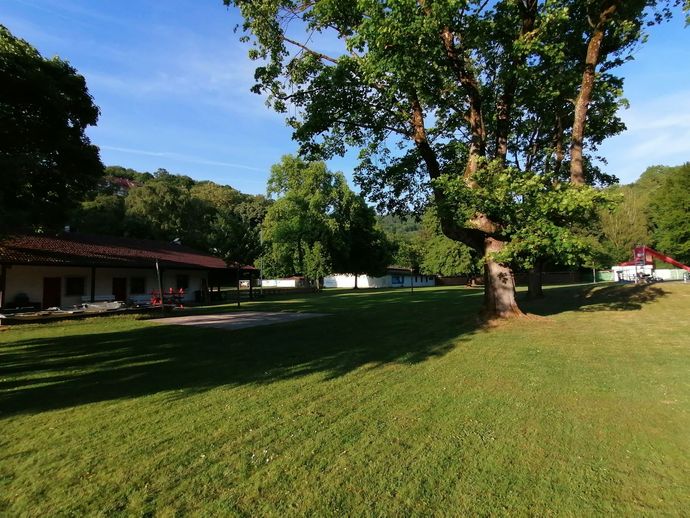 Sonniger Park mit Rasenfläche, großen Bäumen und einem niedrigen Gebäude im Hintergrund.