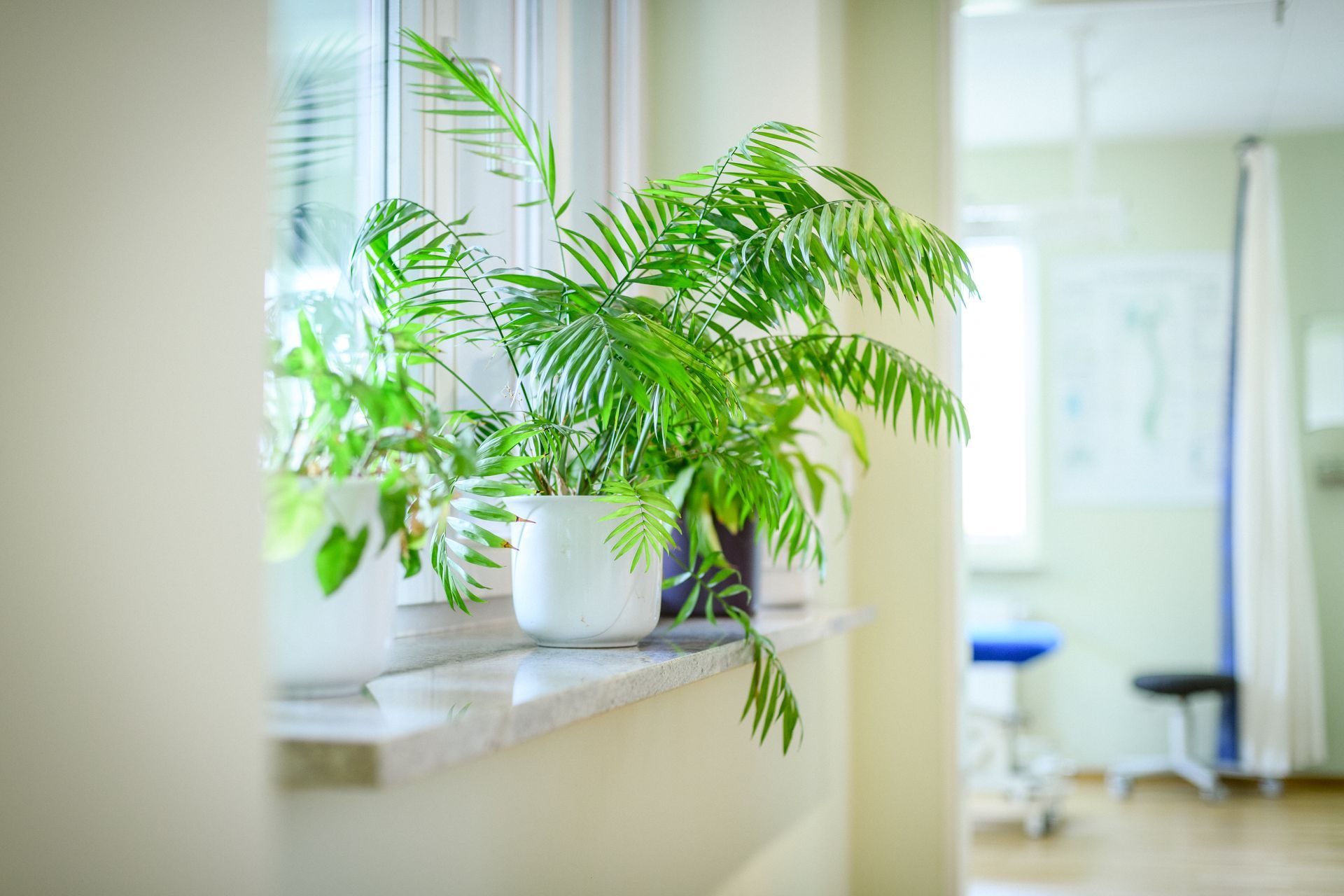 Praxis für Physiotherapie Bettina Hofer