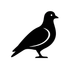 Silhouette noire d'un pigeon de profil sur fond blanc
