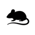 Silhouette noire d'une souris tournée vers la gauche, avec une longue queue recourbée, sur fond blanc.