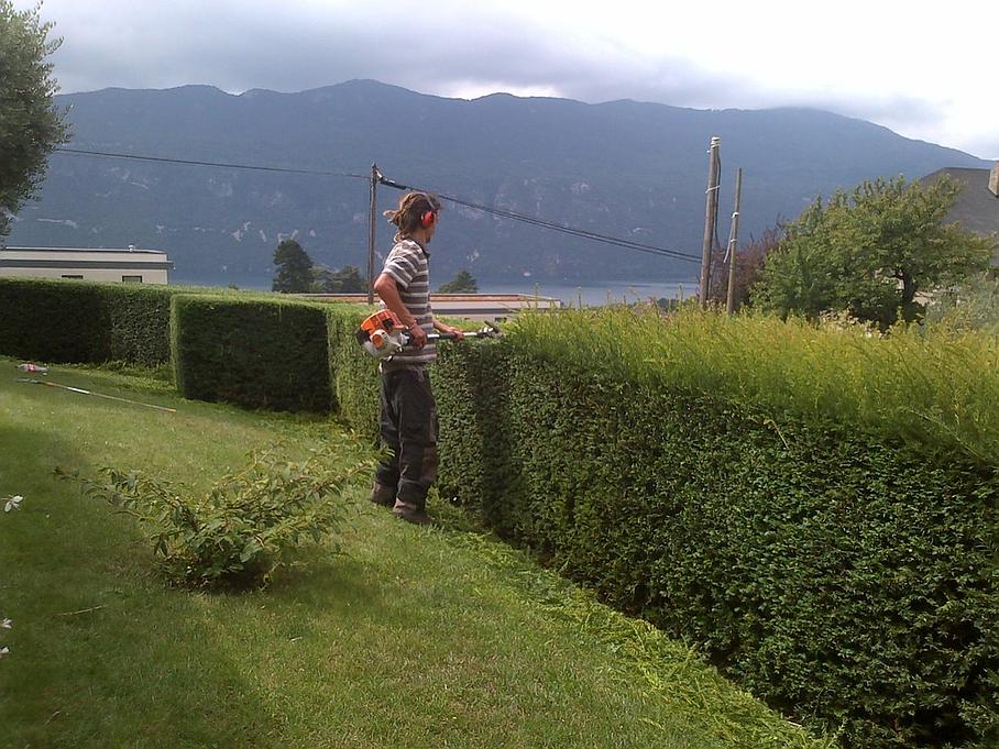 Entretien de jardin