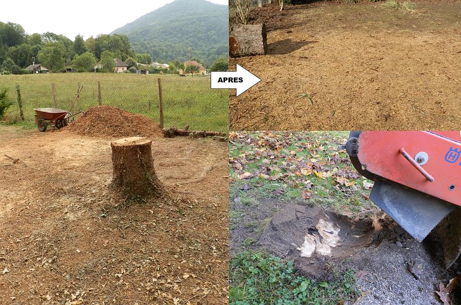 Grignotage avant/après