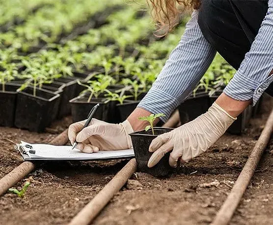 Una mujer está escribiendo en un portapapeles al lado de una planta en maceta.