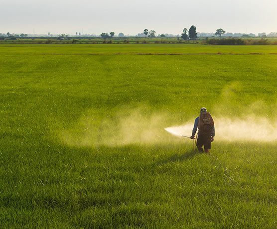 Un hombre está rociando un campo de hierba con un rociador.