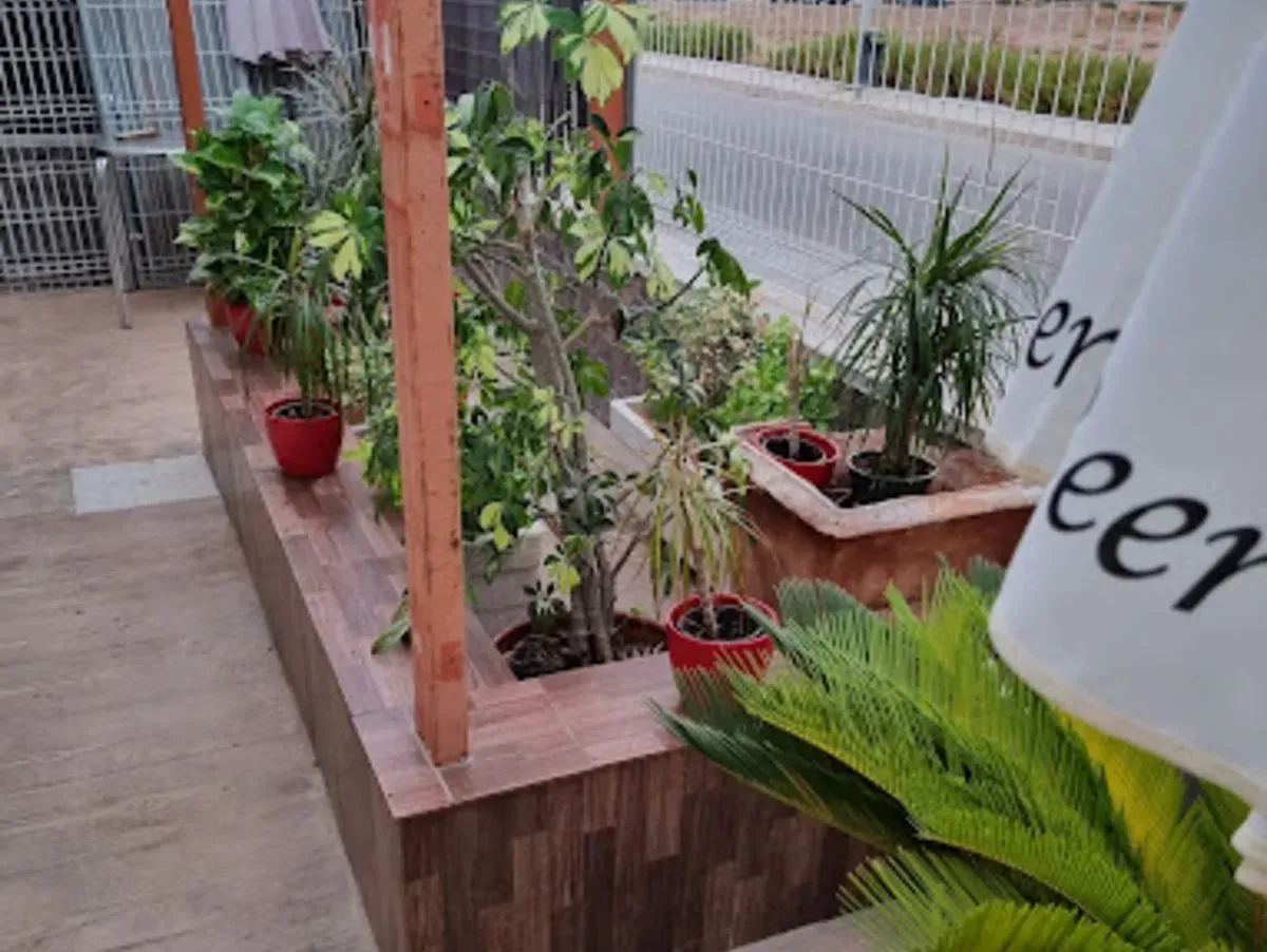 Una hilera de plantas en macetas en un jardín con un cartel que dice cerveza.