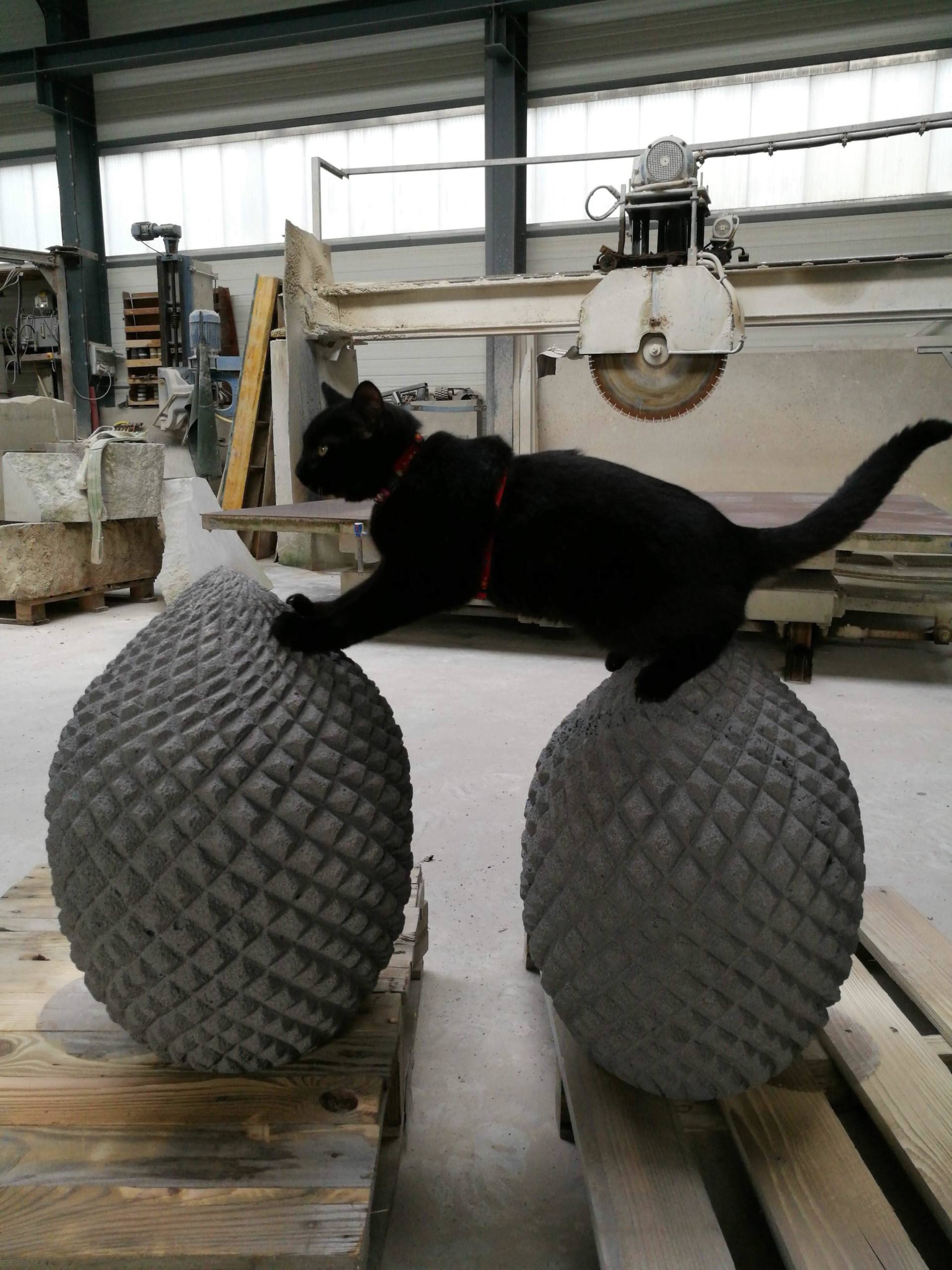 Des pommes de pin en pierre