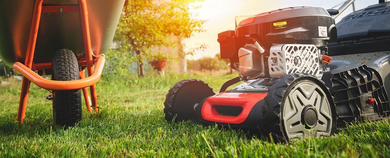 Tondeuse à gazon sur herbe verte dans un jardin