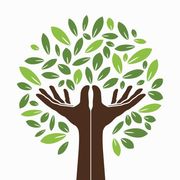 Arbor & Sens - élément graphique du logo représentant un arbre  dont le tronc est représenté par des mains