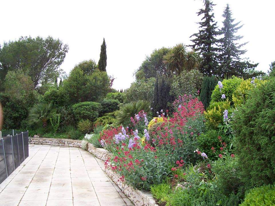 Plantations de massifs