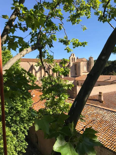 Élaguer ou tailler vos arbres