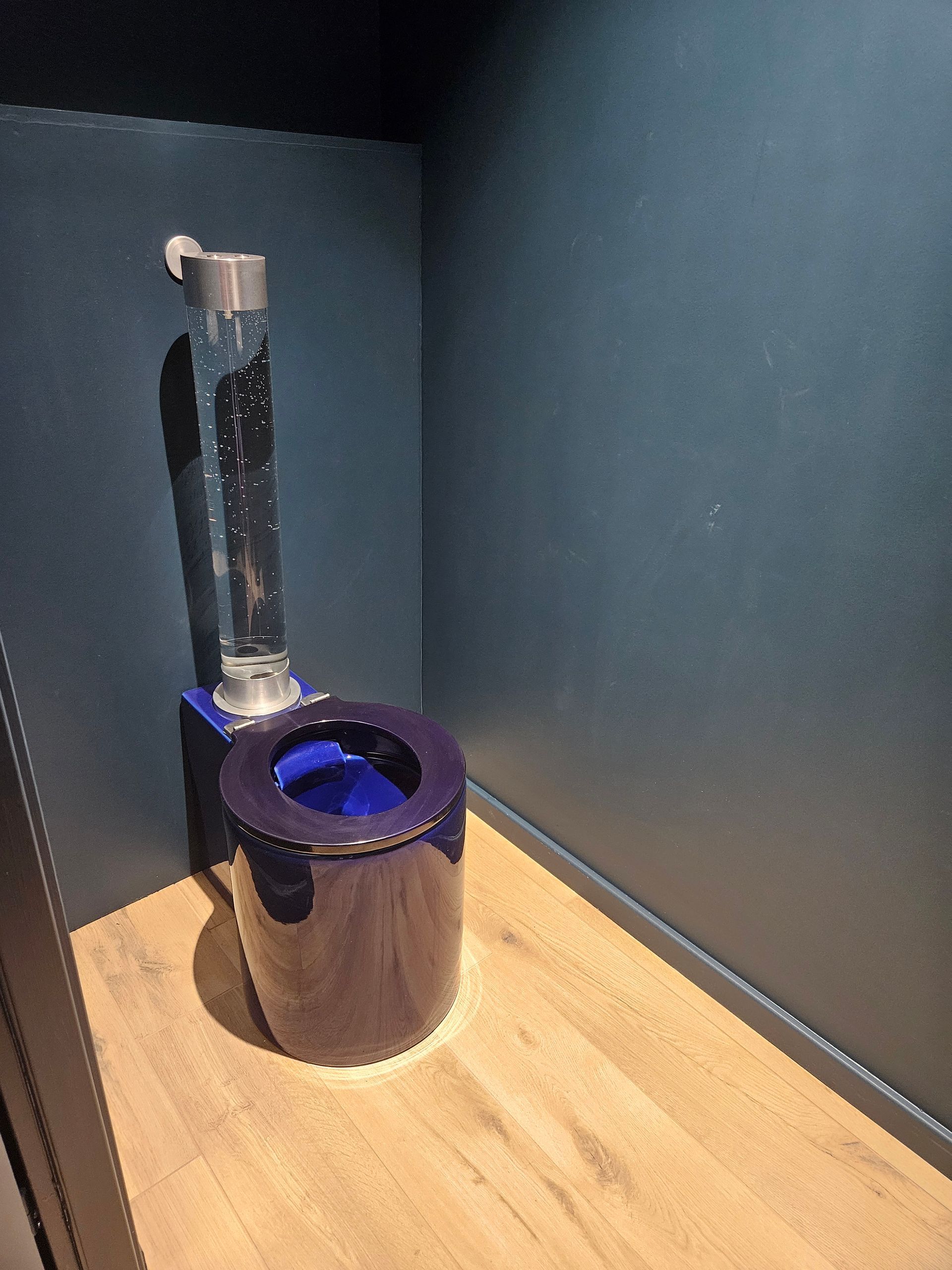 Photo d'un WC atypique de la marque Trone®