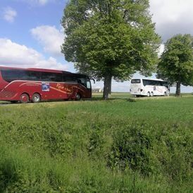 Reise Heiko Omnibusbetrieb Bus