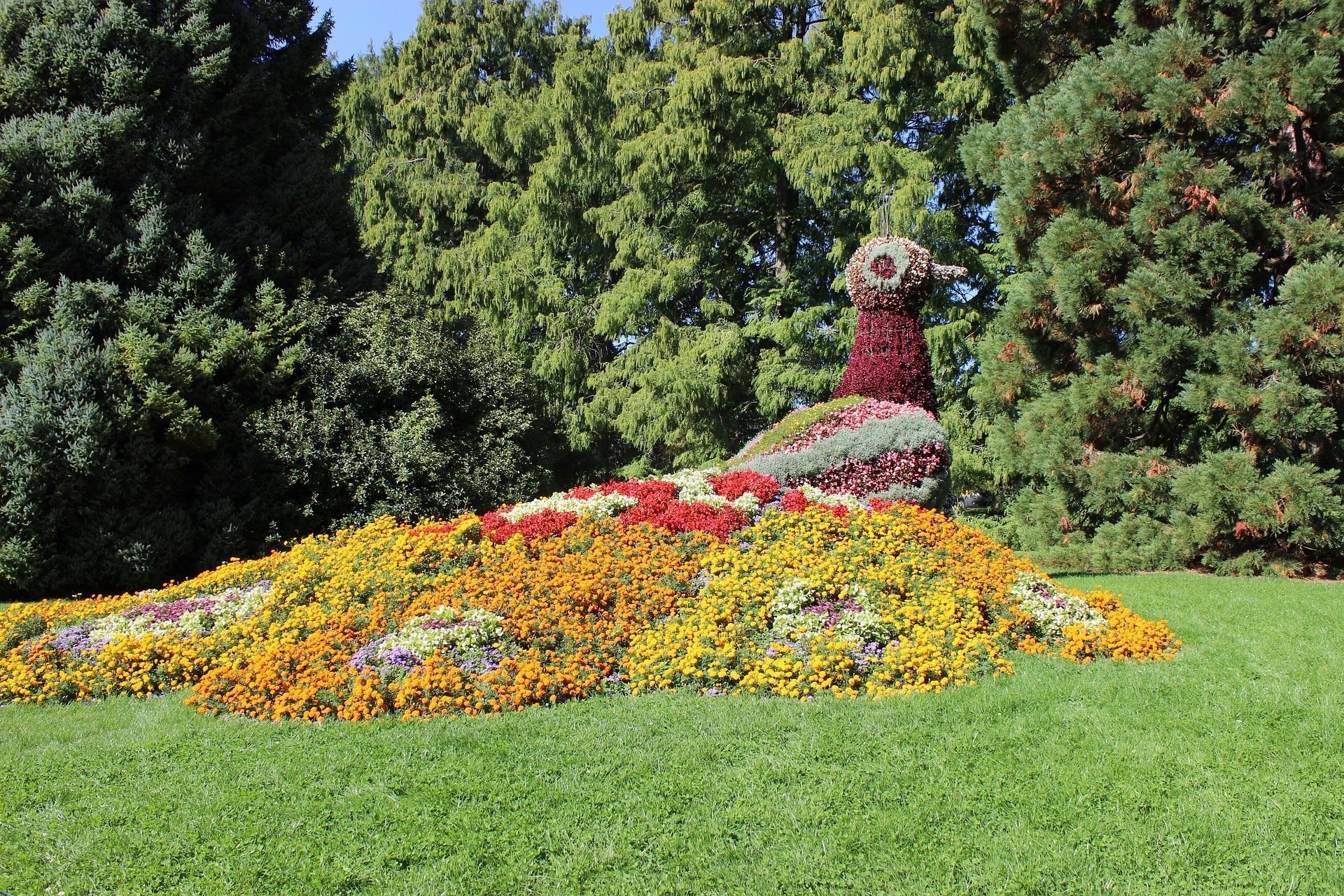 Blumenskulptur eines Pfaus in einem Garten, gefertigt aus roten, gelben und weißen Blumen auf einem grünen Rasen.