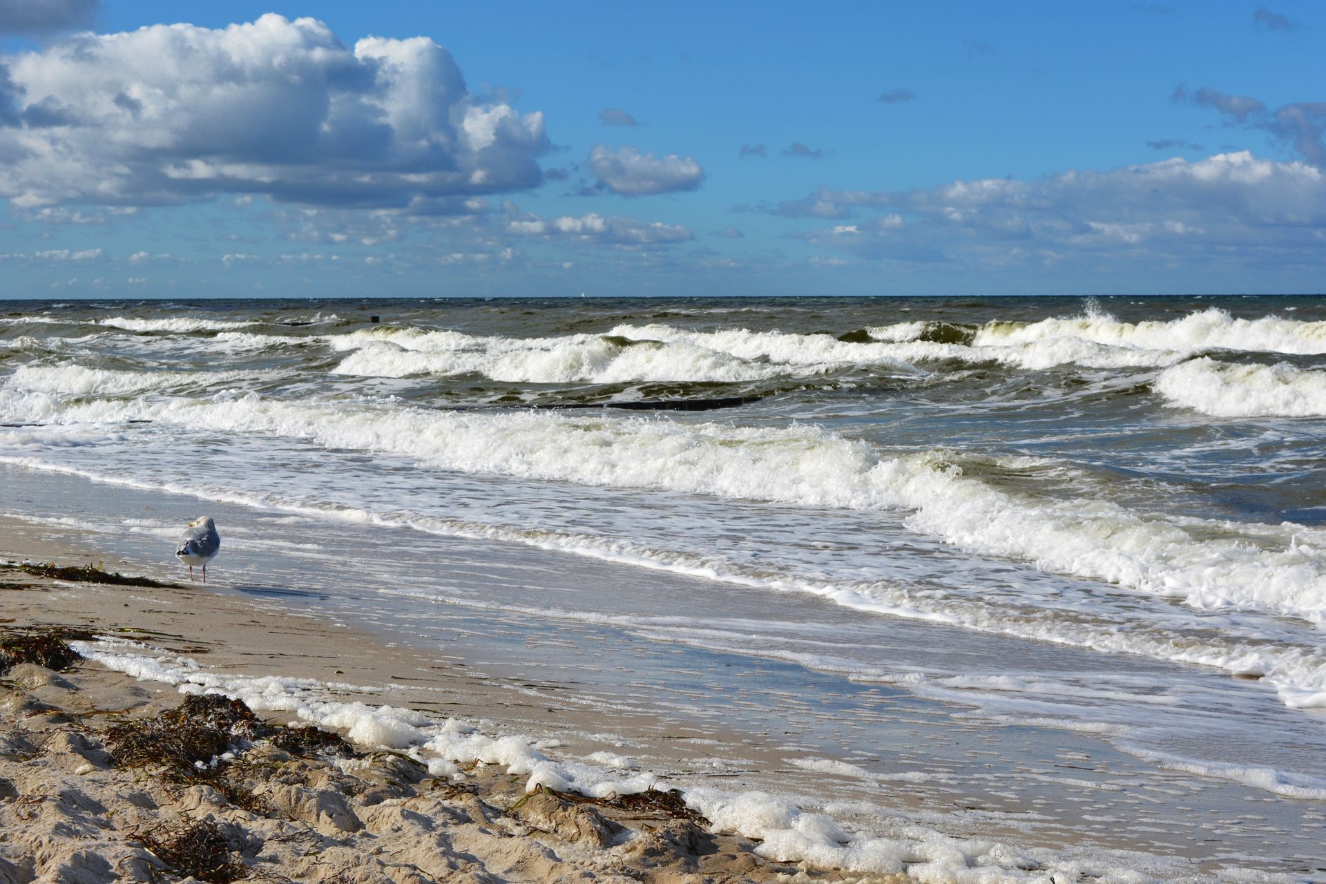 Grün-weißes Flusskreuzfahrtschiff auf dem Wasser, mit einer modernen Brücke im Hintergrund.