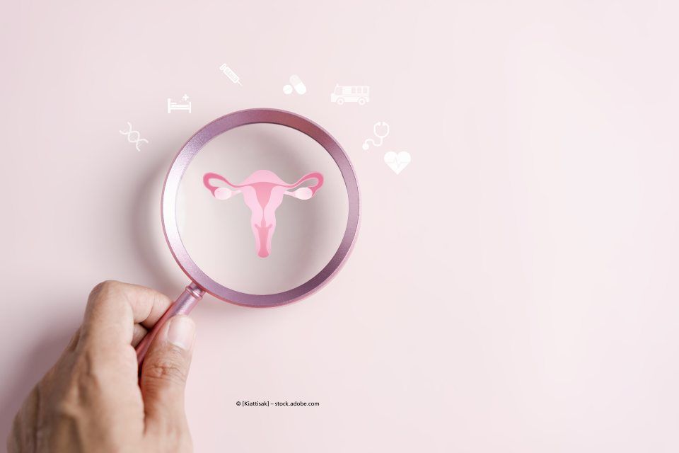 Uterus Visualisierung