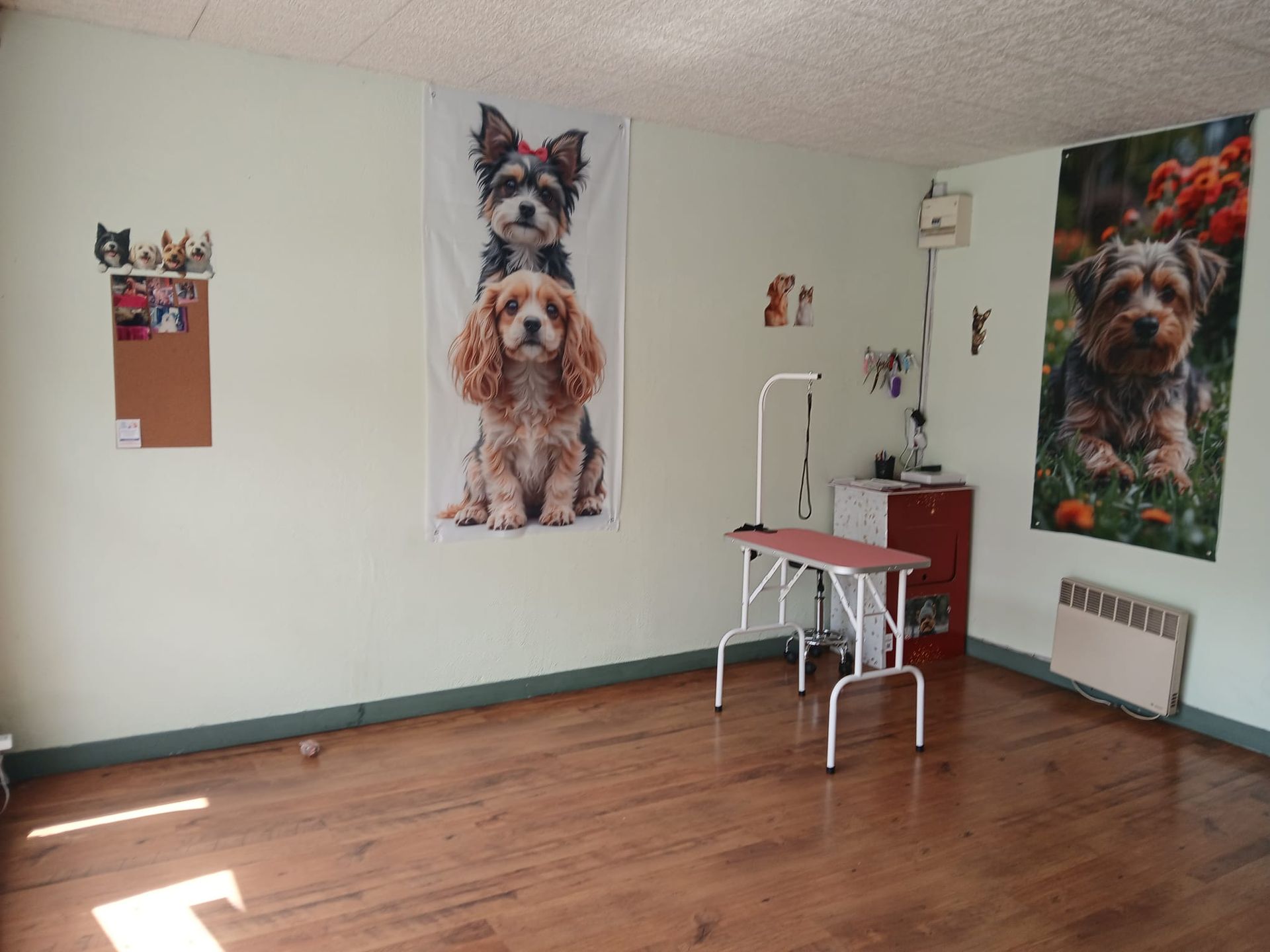 Pièce vide avec parquet, des posters de chiens aux murs et une petite table blanche près du coin du fond.